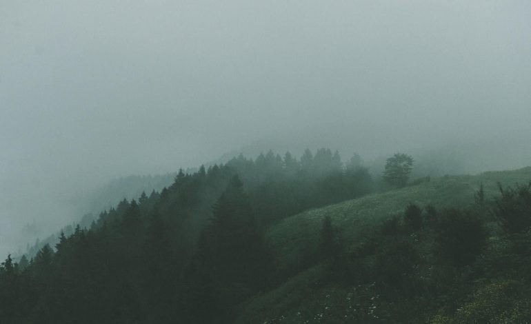 alp duran x vjram213u unsplash