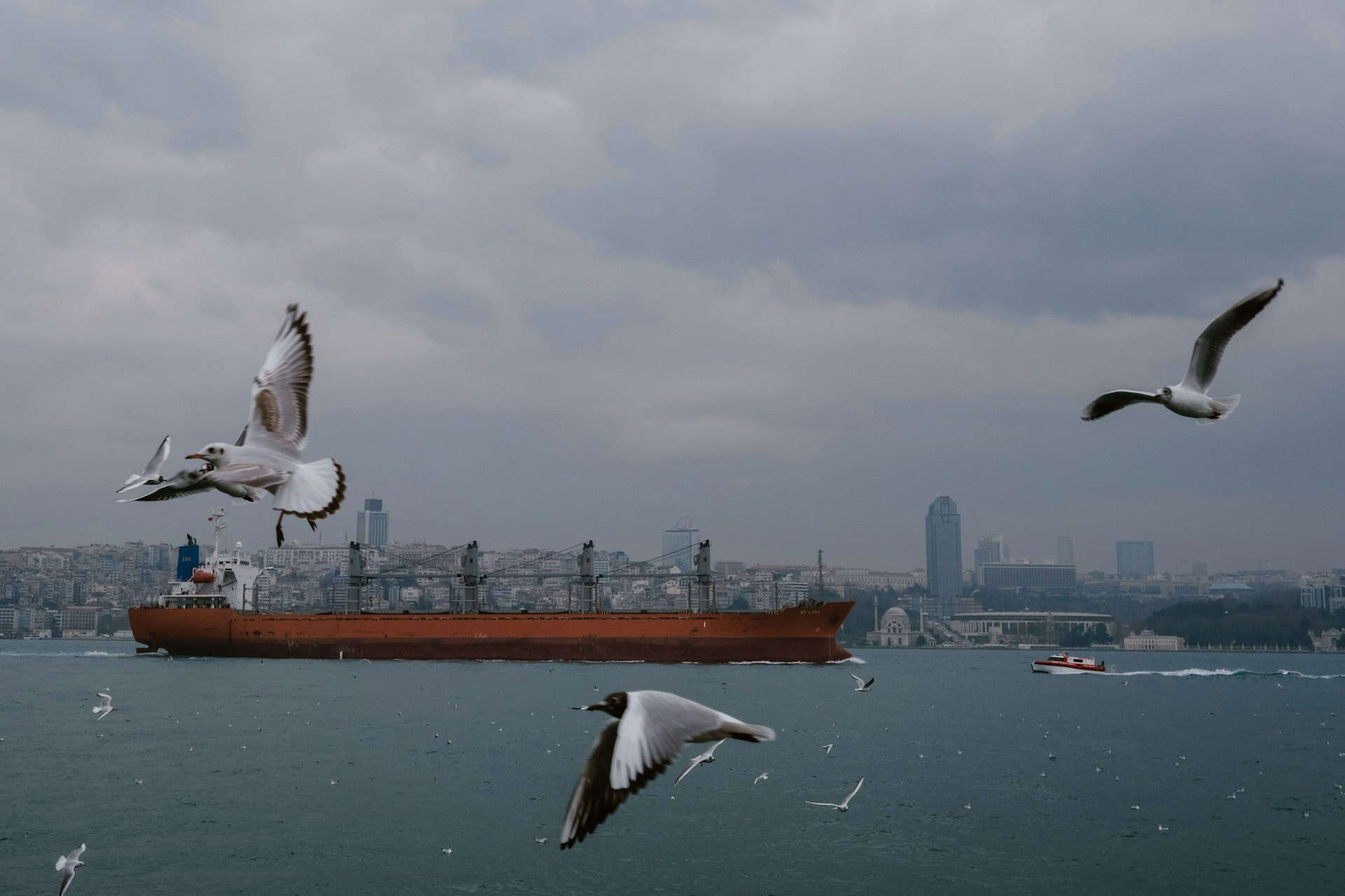 Wie die Türkei Europa mit Gas versorgen will