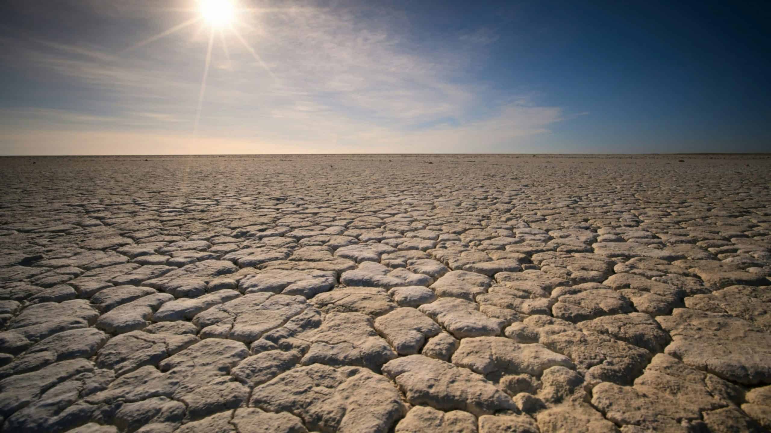 Rekorddürre und Hitzewellen: Türkei vor Klimastresstest