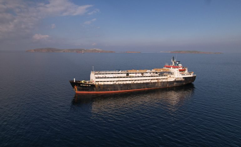 Auf offenem Meer: Tausende Rinder siechen vor der Türkei dahin