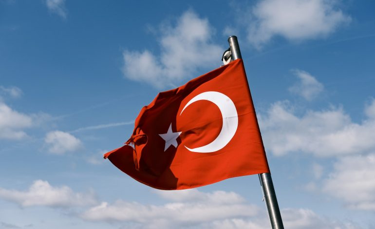 zeki okur l1z2bv5tcqk unsplash